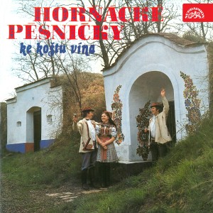 Listen to Chodím, chodím song with lyrics from Martin Zálešák