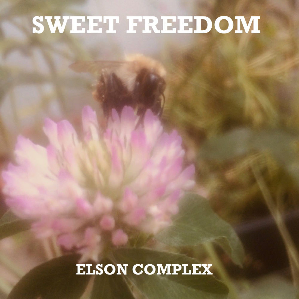 Sweet Freedom