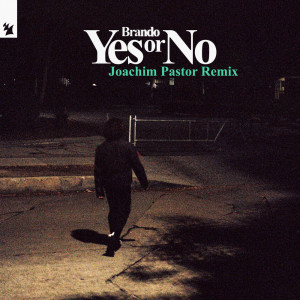 Yes or No (Joachim Pastor Remix)