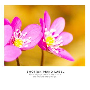 Listen to My last love song with lyrics from Na Eunjeong