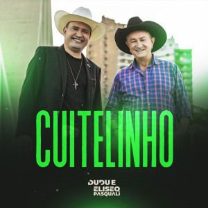 收听Dudu e Eliseo Pasquali的Cuitelinho歌词歌曲