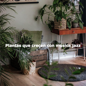 อัลบัม Plantas que crecen con música jazz ศิลปิน Smooth Jazz Seduction