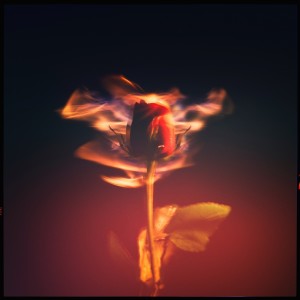 收聽Kylie Spence的Garden歌詞歌曲