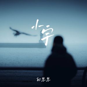 向思思的專輯小宇