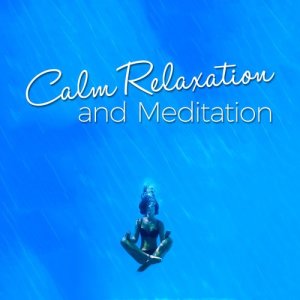 收聽Chinese Relaxation and Meditation的Voice of Truth歌詞歌曲