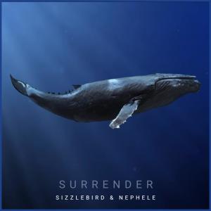 อัลบัม Surrender ศิลปิน Sizzle Bird