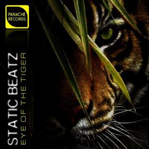 ดาวน์โหลดและฟังเพลง Eye of the Tiger(EDM Instrumental) (纯音乐) พร้อมเนื้อเพลงจาก Static Beatz