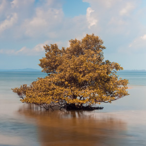 Listen to Lullaby For Recharging The Body’s Energy song with lyrics from Meditative Yoga Music