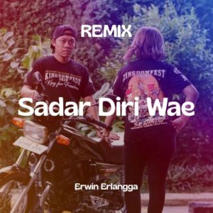 Album Sadar Diri Wae (Remix) from Erwin Erlangga