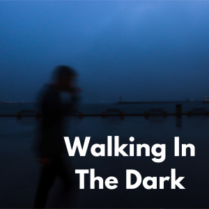 Various的專輯Walking In The Dark (Explicit)