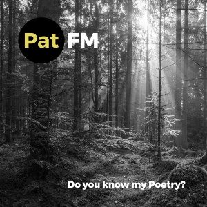 Listen to Chill or Move (Lauer House Remix) song with lyrics from Pat FM