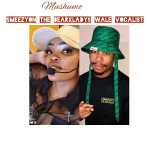 收聽LadyS wale vocalist的MUSHUMO (feat. SMEEZYONTHEBEAT)歌詞歌曲