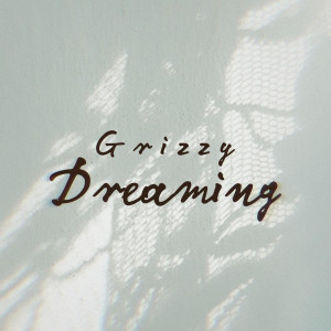 Listen to Night Out song with lyrics from Grizzy