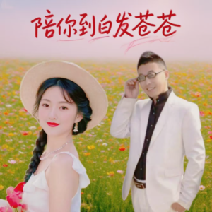 Album 陪你到白发苍苍（对唱） from 琳歌