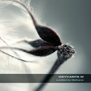 Album Oxycanta III oleh Various Artists