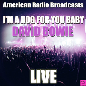 收聽David Bowie的Heroes (Live)歌詞歌曲