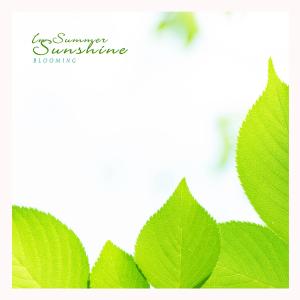 Album In Summer Sunshine oleh Blooming