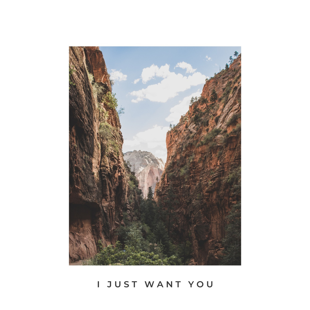 I Just Want You