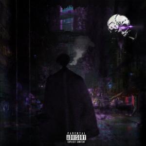 ดาวน์โหลดและฟังเพลง Born To Die. (Explicit) พร้อมเนื้อเพลงจาก Ammon.