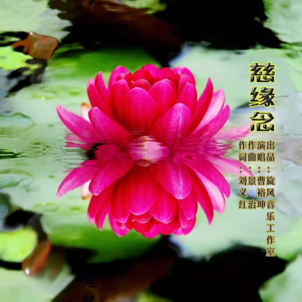 慈缘念 (完整版)