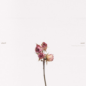 Album what if from zeauk
