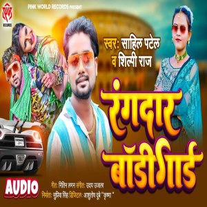 Listen to Rangdar Bodyguard song with lyrics from Sahil Patel