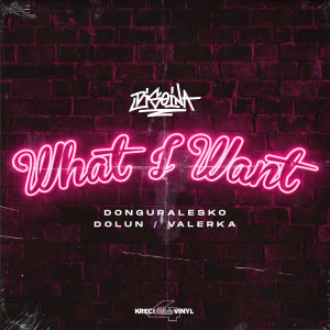 ดาวน์โหลดและฟังเพลง What I Want (Explicit) พร้อมเนื้อเพลงจาก Dj Soina