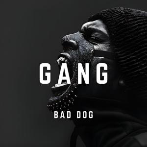 收聽Bad Dog的Gang (Explicit)歌詞歌曲