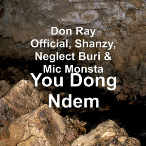 Don Ray Official的专辑You Dong Ndem