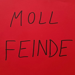 Album Feinde from Moll