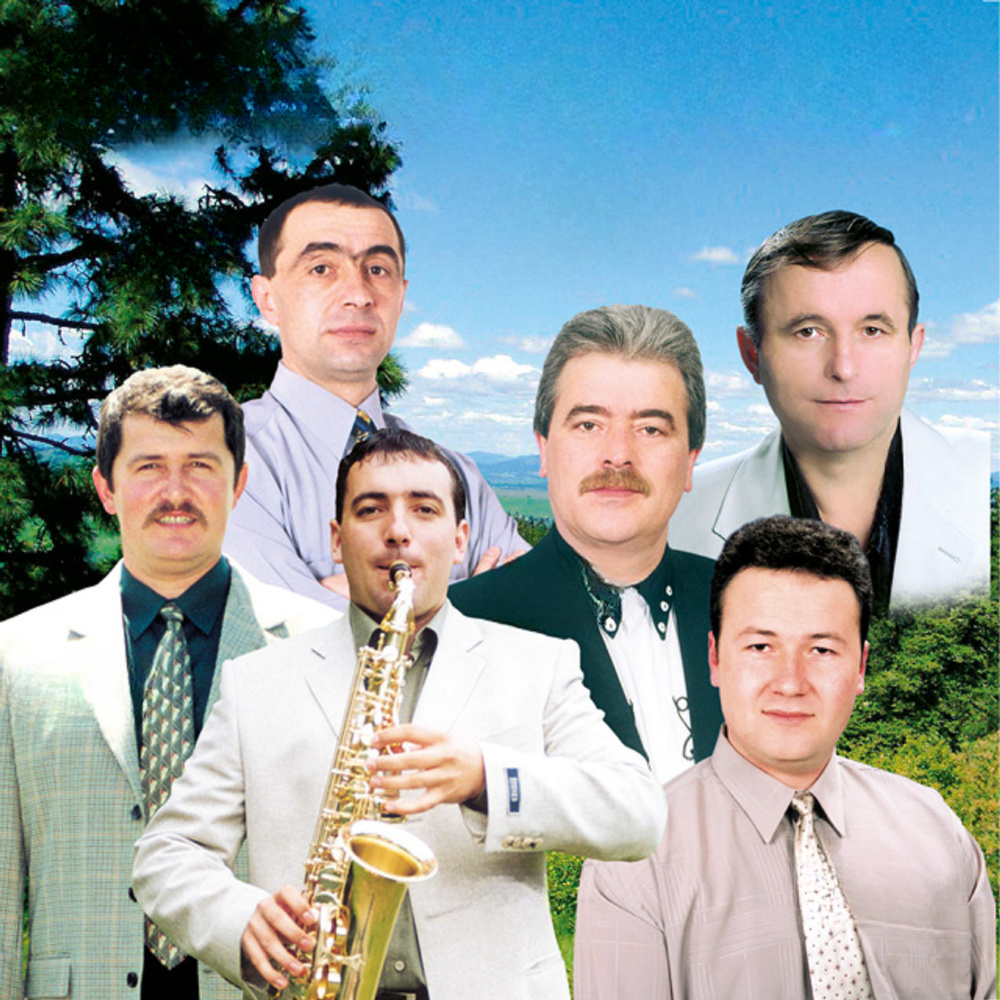Mândră Floare De Măslin