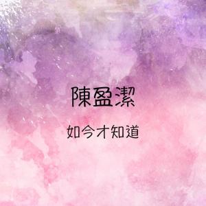 收听陈盈洁的如今才知道歌词歌曲