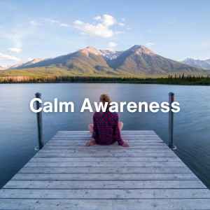Album Calm Awareness from Sleep Music Wellness