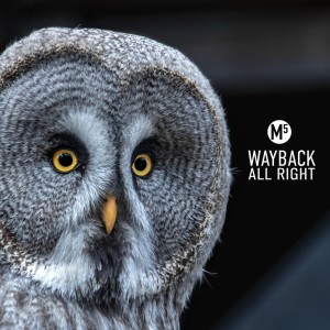 Listen to All Right (Original Mix) song with lyrics from Wayback