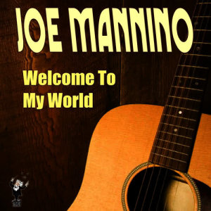 ดาวน์โหลดและฟังเพลง Welcome to My World พร้อมเนื้อเพลงจาก Joe Mannino