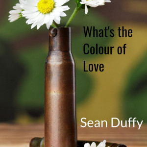 Album What's the Colour of Love from Sean Duffy