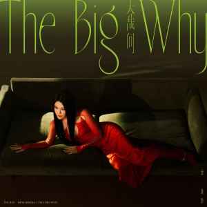 Album 大哉问 (THE BIG WHY) from Tia Ray (袁娅维)