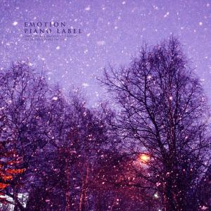 Beautiful Emotional Piano With Winter Night (Nature Ver.) dari Various Artists