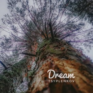 Tsyplenkov的專輯Dream