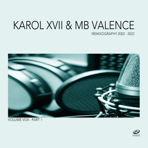 Album Thru the Night (Karol XVII & MB Valence Remix) from Steve Edwards