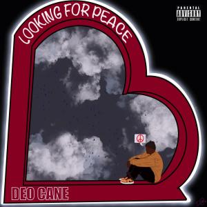 收聽Deo Cane的Looking For Peace歌詞歌曲