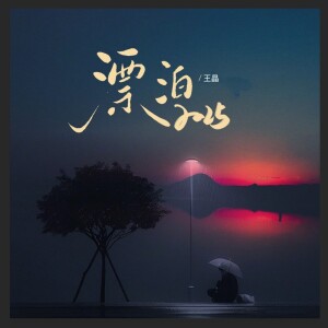 Album 漂泊2025 from 王晶