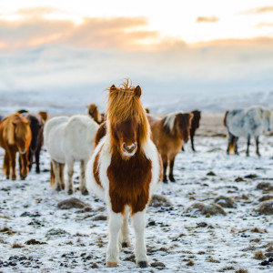 Dengarkan Rain and Fire lagu dari SPA dengan lirik