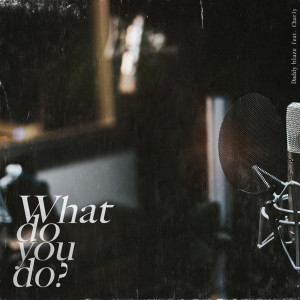 Album What do you do ? (feat. CHARLY) oleh DADDY BLAZE
