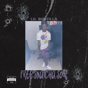 Lil Boozilla的專輯Free SnatchaSoul (Explicit)