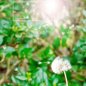 Dengarkan Children-Friendly Atmosphere (Lullaby) lagu dari Have a Nice Dream My Baby dengan lirik