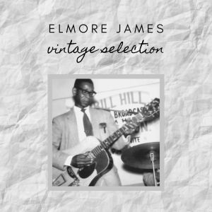 Listen to No Love in My Heart song with lyrics from Elmore James