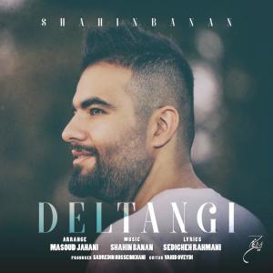 Listen to Deltangi - Shahin Banan song with lyrics from Shahin Banan