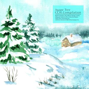 Album CCM Piano Collection For Warm Winter By Agape Tree from Korea Various Artists