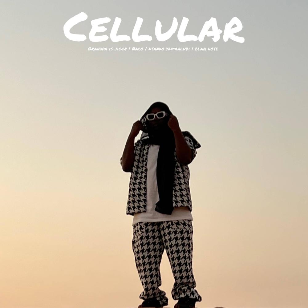 Cellular (feat. Naco, Ntando yamahlubi & Blaq note)